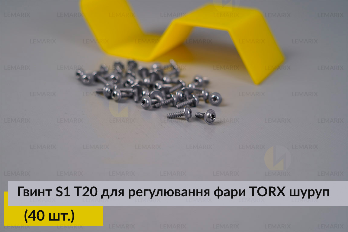 Гвинт S1 T20 для регулювання фари TORX шуруп (40 шт.)