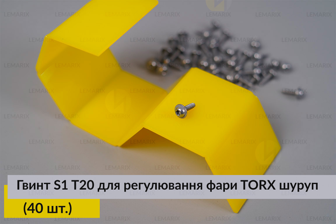 Гвинт S1 T20 для регулювання фари TORX шуруп (40 шт.)