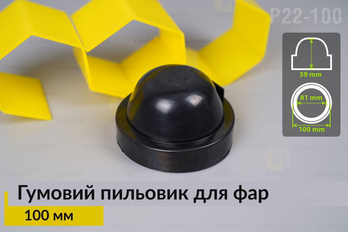 Пильник-ковпак P22-100